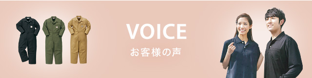 sp_voice